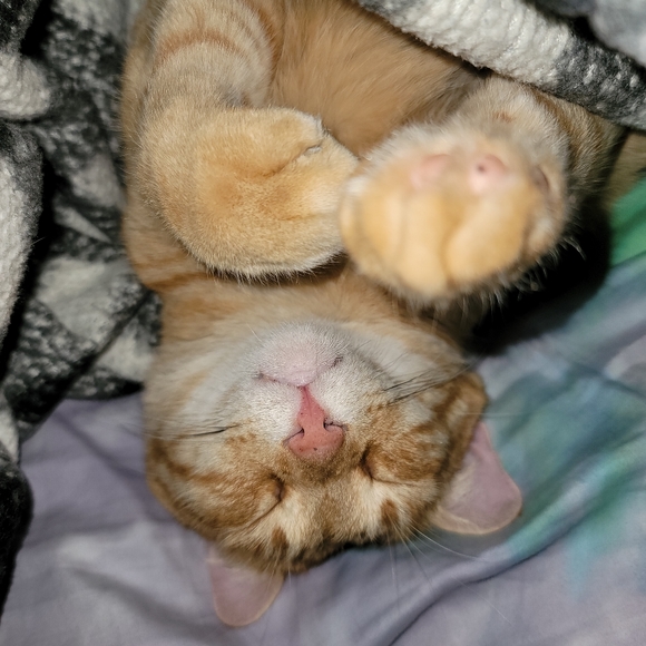 Jacy💘 - Picture 6 of 6